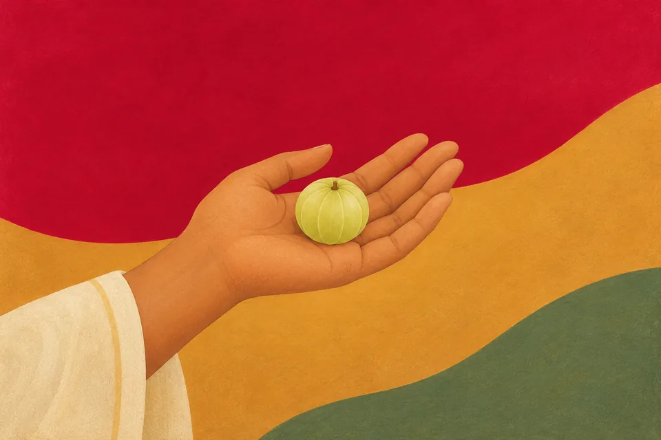 An amla rests in an open palm, evoking the passage’s comparison for clear knowledge.